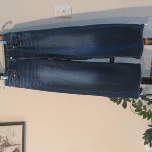 American Eagle Low-Rise Baggy Wide Leg Jeans Size 0